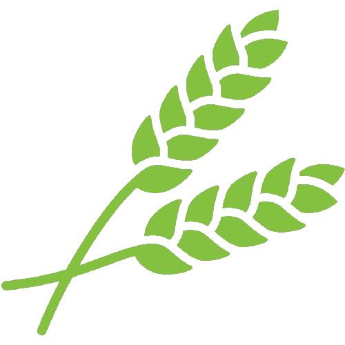 CROP-CONSULT LOGO